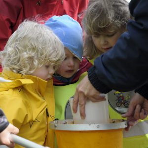 Förskolebarn studerar fångst i vattenhov