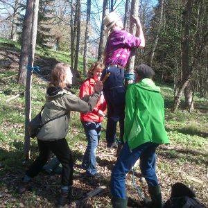 Teambuildning med Ekoturen. Tre personer hjälper en fjärde att klättra upp i ett träd.