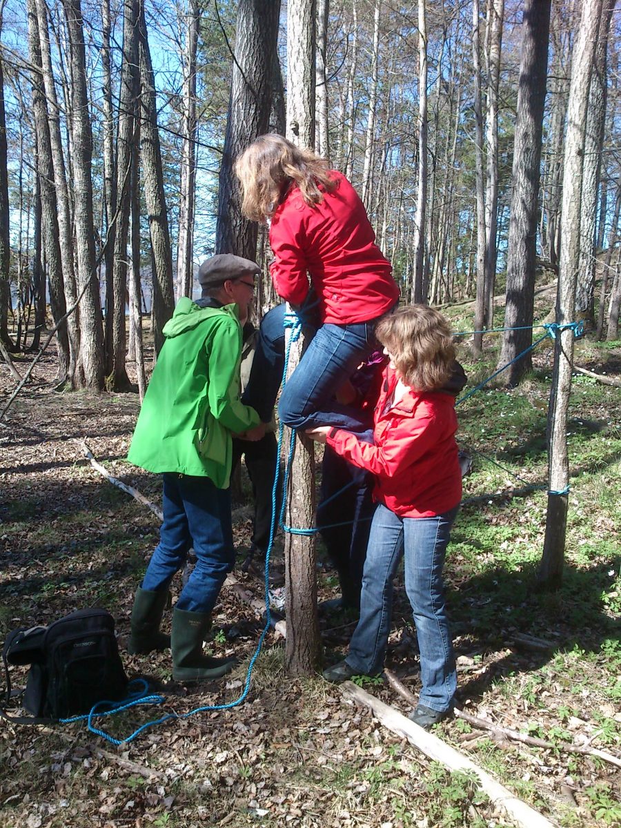 Tre personer hjälper en fjärde att klättra upp i ett träd