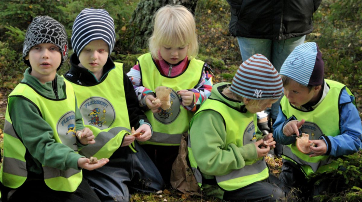 Förskolebarn sitter i en ring i skogen och studerar svampar.