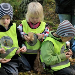 Förskolebarn sitter i en ring i skogen och studerar svampar.