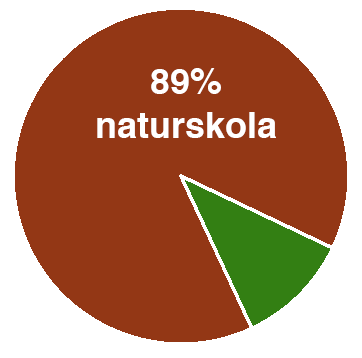 Cirkeldiagram som visar att 89% av verksamheten är naturskola