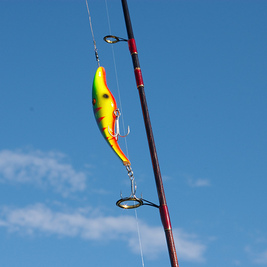 Fiskespö med färgglatt drag