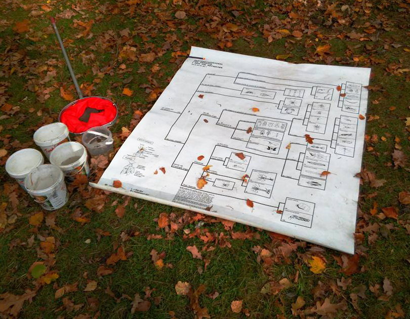 Kartbild på en lövklädd gräsmatta.