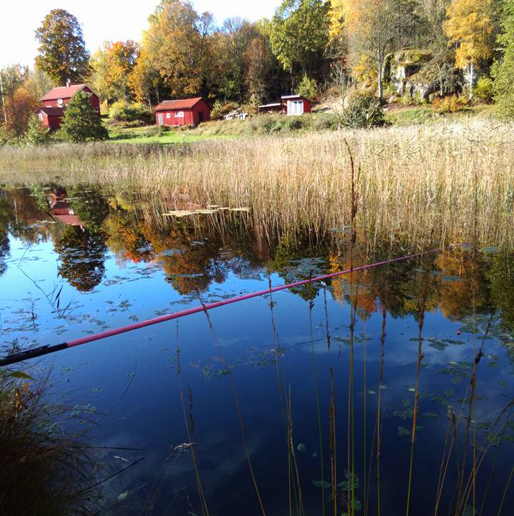 Metspö vid vattendrag