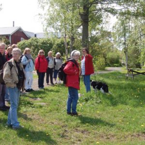Ett tiotal personer på orkidévandring på Källsö i maj 2012