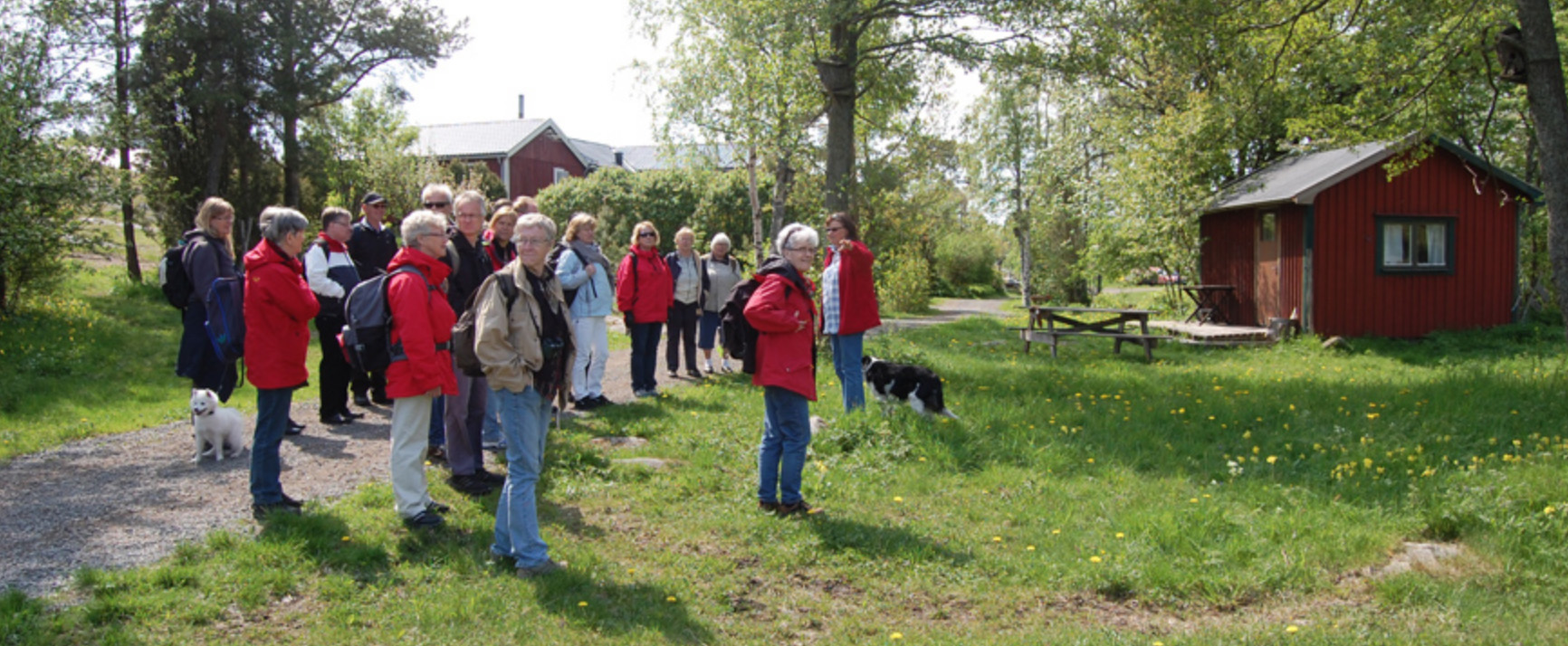 Barn lär om naturen ute i naturen