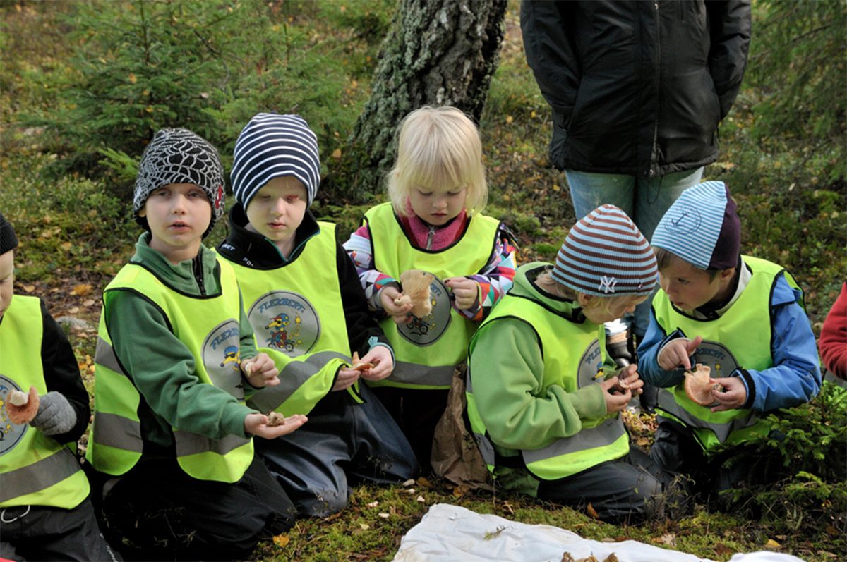 Förskolebarn sitter i en ring i skogen och studerar svampar